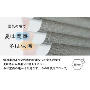 ハニカムスクリーン プリーツスクリーン オーダ...の詳細画像4