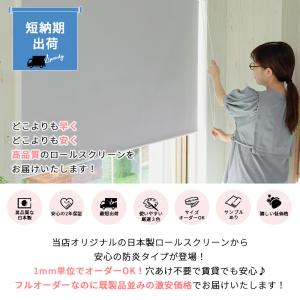 ロールスクリーン ロールカーテン スリム突っ張...の詳細画像1