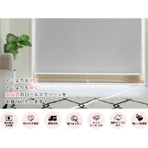 ロールスクリーン ロールカーテン 防炎 遮光1...の詳細画像1