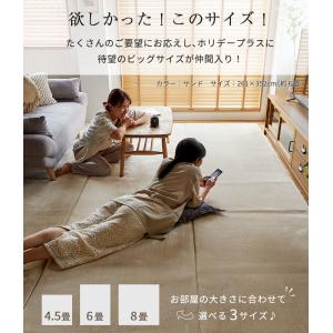 カーペット 6畳 江戸間 ラグ ラグマット 洗...の詳細画像3