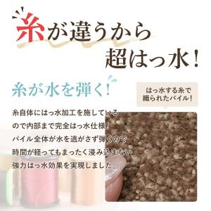 タイルカーペット 50×50 10枚単位 撥水...の詳細画像2