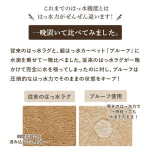 タイルカーペット 50×50 10枚単位 撥水...の詳細画像3