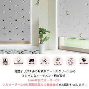 ロールスクリーン 風水柄 スリム突っ張り式 遮...の詳細画像1