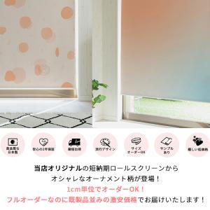 ロールスクリーン トレンドカラー柄 遮光 オー...の詳細画像1