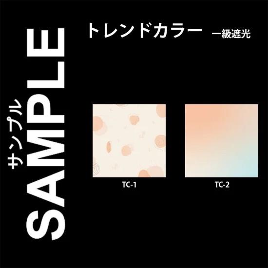 生地サンプル ファスト トレンドカラー柄 1級遮光