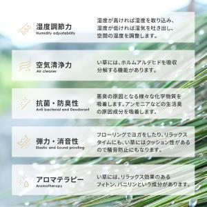 い草ラグ 廊下敷き 80×440 国産 井草ラ...の詳細画像3