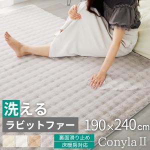 ラグ カーペット ラグマット 厚手 洗える 北欧...の商品画像
