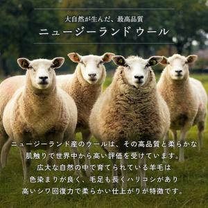 在庫処分 特価 ギャベ ギャッベ 玄関マット ...の詳細画像4