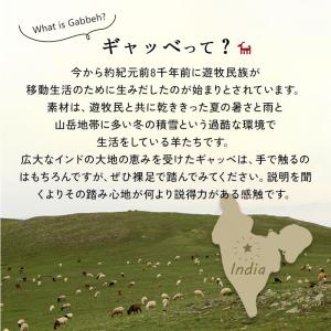 在庫処分 特価 ギャベ ギャッベ 玄関マット ...の詳細画像2