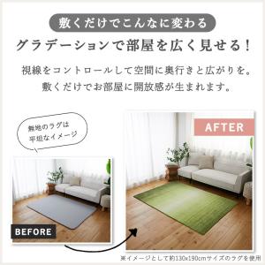 在庫処分 カラー限定特価 玄関マット 室内 屋...の詳細画像4