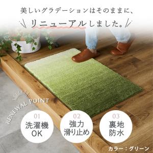 在庫処分 カラー限定特価 玄関マット 室内 屋...の詳細画像2
