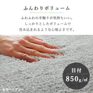在庫処分 カラー限定特価 玄関マット 室内 屋...の詳細画像5