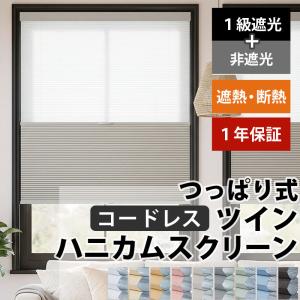 つっぱり ハニカムスクリーン 遮光 採光 レース オーダー ロールスクリーン ブラインド カーテン 遮熱 断熱 保温 / 突っ張り 1級遮光＋非遮光 ツインハニカム