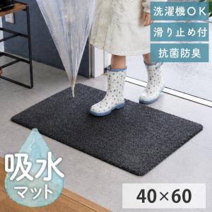 ドアマット吸水滑り止めマット脚立入口浴室マットトイレ家庭用カーペット用超繊 グラムスタイル 玄関マット 屋外 室内 洗える 吸水 泥落とし 滑り止め