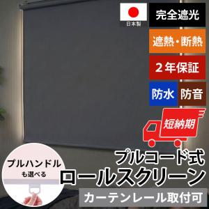 ロールスクリーン ロールカーテン 完全遮光 防水...の商品画像