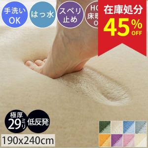 在庫処分 特価 ラグ カーペット 厚手 極厚 29mm 撥水 3畳 190×240 ラグマット オールシーズン 床暖房対応 防音 絨毯 おしゃれ 北欧 / ソフール
