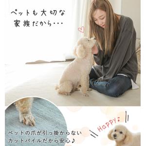 カーペット 6畳 261×352cm ペット対...の詳細画像5