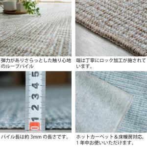 カーペット 6畳 261×352cm 抗菌 消...の詳細画像5
