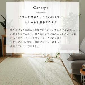ラグ カーペット 洗える 北欧 おしゃれ 2畳...の詳細画像2