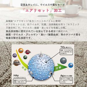 ラグ カーペット 洗える 北欧 おしゃれ 2畳...の詳細画像5