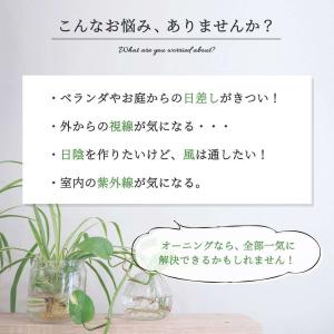 サンシェード 日よけ シェード カーテン 遮光...の詳細画像3