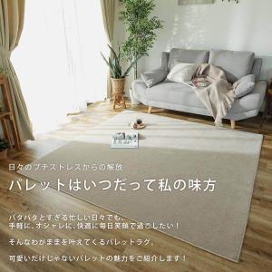 カラー限定特価 カーペット 絨毯 ラグ 洗える...の詳細画像1