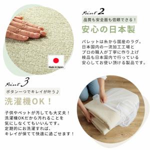 カラー限定特価 カーペット 絨毯 ラグ 洗える...の詳細画像3