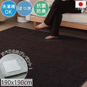 在庫限り 特価 カーペット 絨毯 ラグ 洗える おしゃれ 北欧 2畳 190×190 撥水 防汚加工 防ダニ 抗菌 防臭 オールシーズン 日本製 / パレット2 ブラック