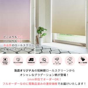 ロールスクリーン グラデーション柄 突っ張り式...の詳細画像1