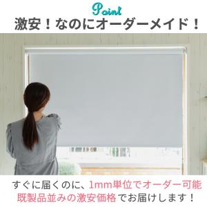 ロールスクリーン 北欧柄 スリム突っ張り式 遮...の詳細画像3