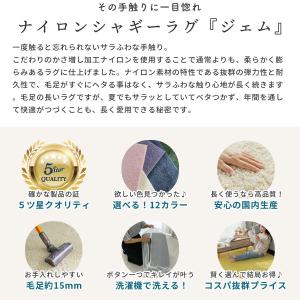 カラー限定特価 ラグ カーペット 絨毯 洗える...の詳細画像3