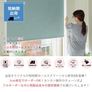 ロールスクリーン ロールカーテン 遮光1級 遮...の詳細画像1