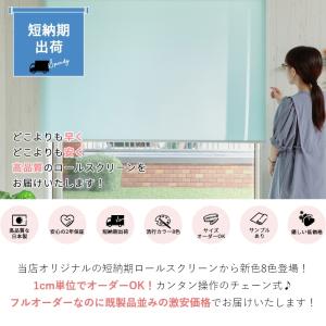 ロールスクリーン ロールカーテン オーダーメイ...の詳細画像1
