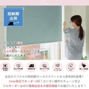 ロールスクリーン ロールカーテン 突っ張り式 ...の詳細画像1