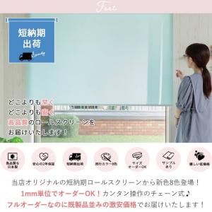 ロールスクリーン ロールカーテン 突っ張り式 ...の詳細画像1