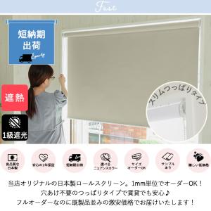 ロールスクリーン ロールカーテン スリム突っ張...の詳細画像1
