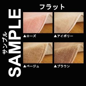 生地サンプル ラグ フラットの商品画像