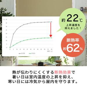 遮熱ロールスクリーン ロールカーテン プルコー...の詳細画像2