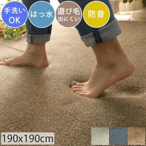 ラグ 厚手 極厚 はっ水 2畳 正方形 洗える おしゃれ カーペット 北欧 滑り止め付き 防音 クッション 子供 ペット / ラグマット モレット 190×190cm
