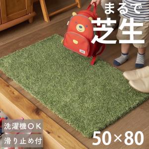 玄関マット 芝生風 洗える 50×80 屋内 室内 玄関 マット ミニマット 風水 芝生マット 芝生 ナチュラル 滑り止め 床暖房対応 グリーン / シバノル