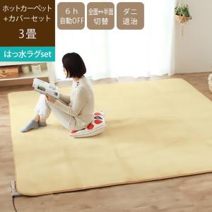 Panasonic（パナソニック） 着せ替えカーペットセットタイプ【2畳相当