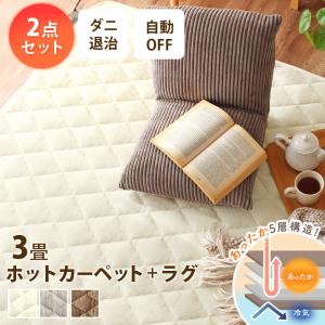 Panasonic（パナソニック） 着せ替えカーペットセットタイプ【3畳相当