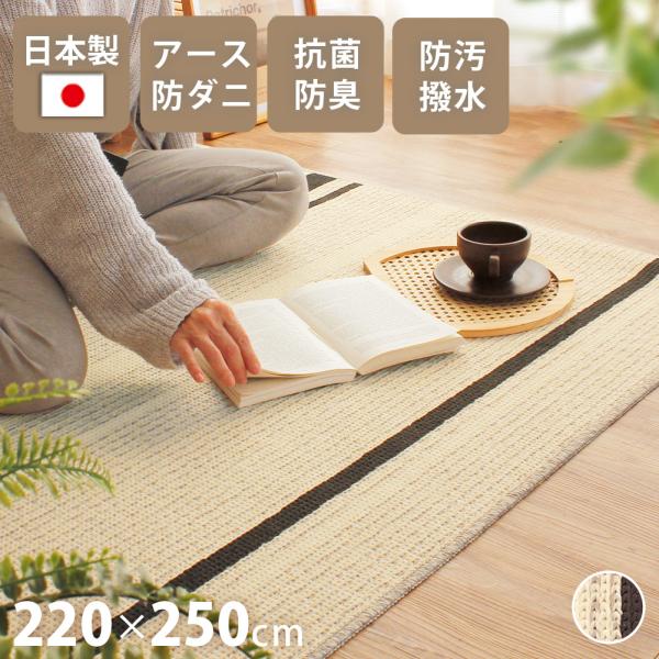 日本製ラグ 220×250cm 長方形 3畳 抗菌 防臭 カーペット 床暖房 ホットカーペット対応 ...