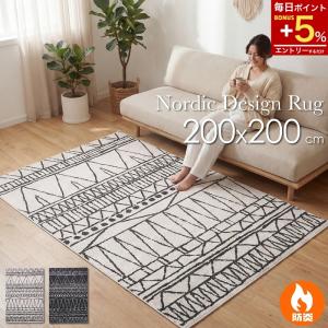 ラグ カーペット 厚手 200×250 北欧風 ウィルトン織 モロッコ