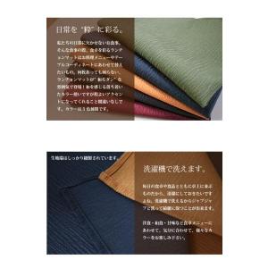 ランチョンマット 布 北欧 2枚セット 洗える...の詳細画像1