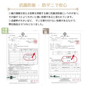 値下げ 790円引き中 ラグ ラグマット 3畳...の詳細画像2