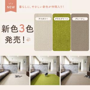 【サンプル】Rugtasuシリーズ カラーサン...の詳細画像2