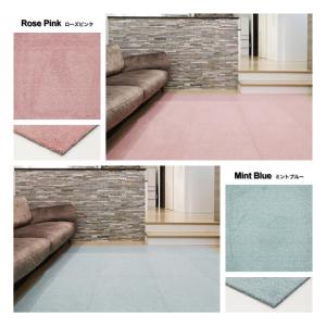 【サンプル】Rugtasuシリーズ カラーサン...の詳細画像2