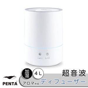 ダイニチ（Dainichi） ダイニチ工業 HD-RXT524(T) 加湿器(気化