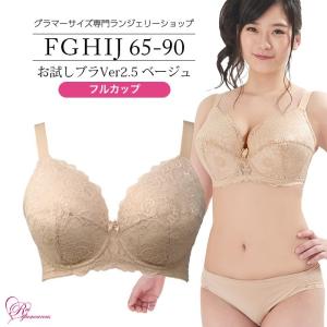 ブラジャー 大きいサイズ インナー 女性 下着 お試しブラVer2.5ベージュ フルカップ（SP-206）